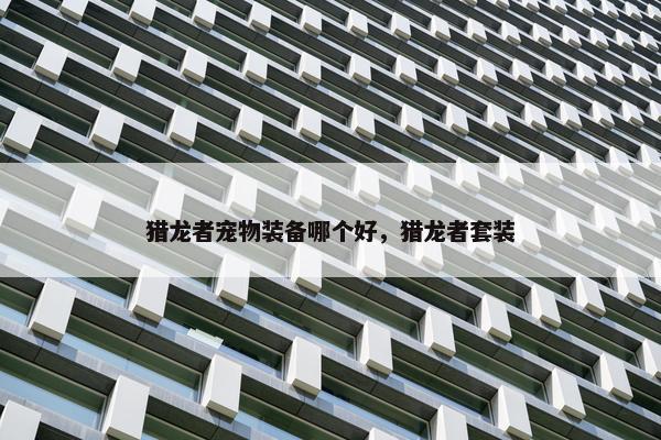 猎龙者宠物装备哪个好，猎龙者套装