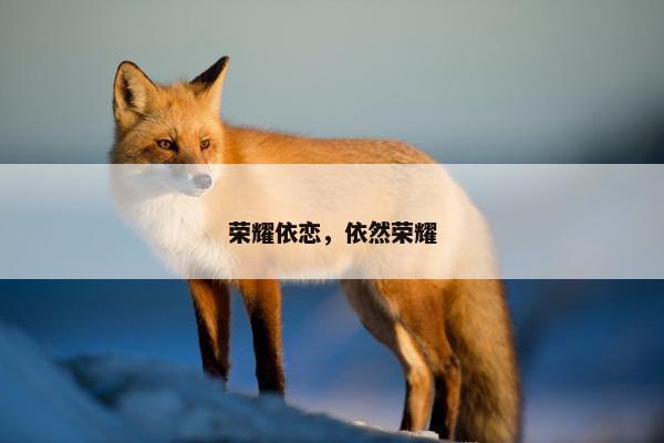 荣耀依恋，依然荣耀