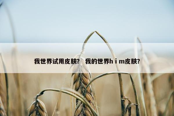 我世界试用皮肤？ 我的世界hⅰm皮肤？