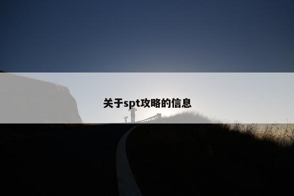 关于spt攻略的信息