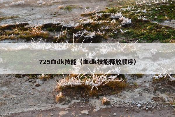725血dk技能（血dk技能释放顺序）