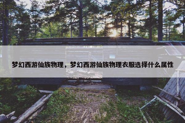 梦幻西游仙族物理，梦幻西游仙族物理衣服选择什么属性