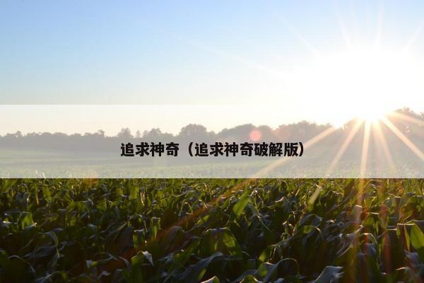 追求神奇（追求神奇破解版）