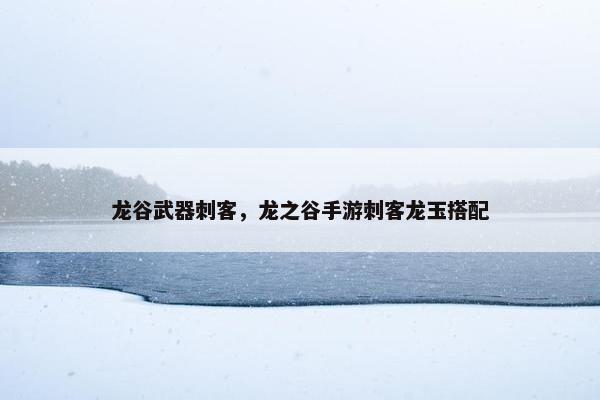 龙谷武器刺客，龙之谷手游刺客龙玉搭配