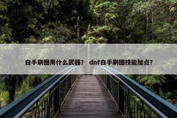 白手刷图用什么武器? dnf白手刷图技能加点? 白手刷图用什么武器? dnf白手刷图技能加点?