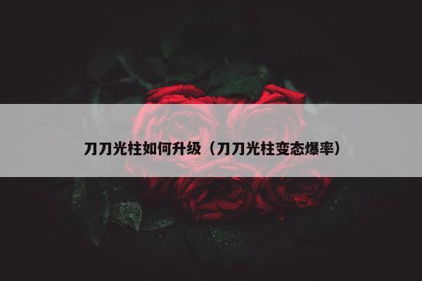 刀刀光柱如何升级（刀刀光柱变态爆率）