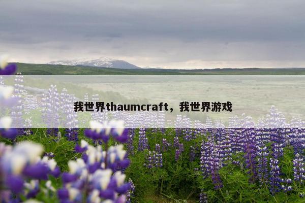 我世界thaumcraft，我世界游戏