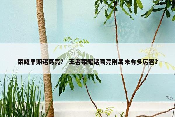 荣耀早期诸葛亮？ 王者荣耀诸葛亮刚出来有多厉害？