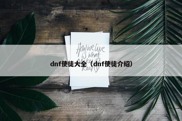 dnf使徒大全（dnf使徒介绍）