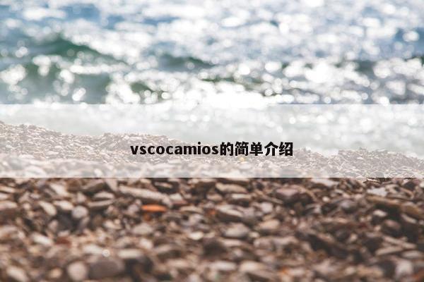 vscocamios的简单介绍