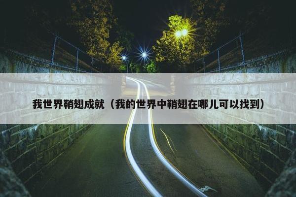 我世界鞘翅成就（我的世界中鞘翅在哪儿可以找到）