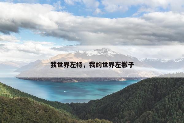 我世界左持，我的世界左撇子