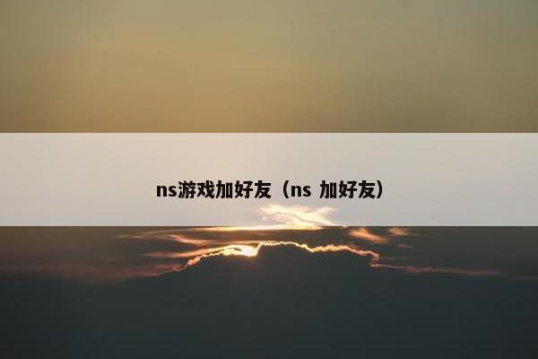 ns游戏加好友（ns 加好友）