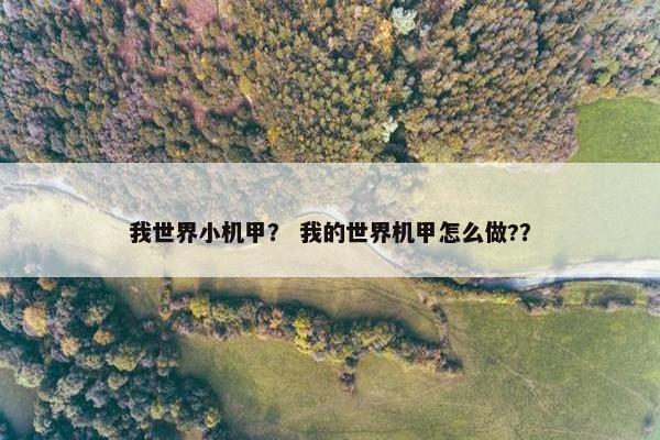 我世界小机甲？ 我的世界机甲怎么做?？