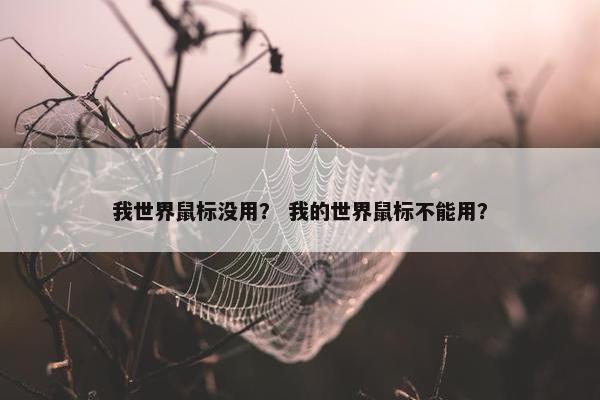 我世界鼠标没用？ 我的世界鼠标不能用？