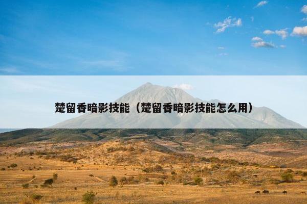 楚留香暗影技能(楚留香暗影技能怎么用) 楚留香暗影技能(楚留香暗影技能怎么用)