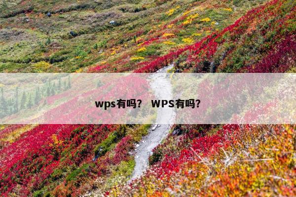 wps有吗？ WPS有吗？