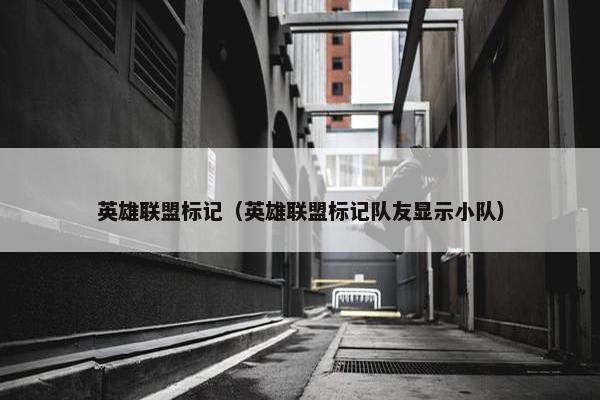 英雄联盟标记（英雄联盟标记队友显示小队）