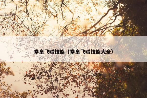 拳皇飞贼技能（拳皇飞贼技能大全）