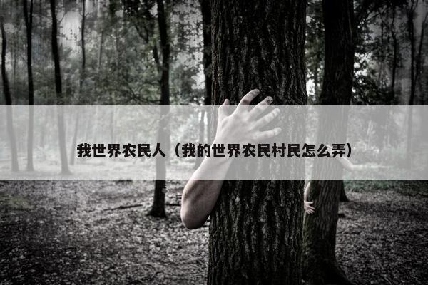我世界农民人（我的世界农民村民怎么弄）