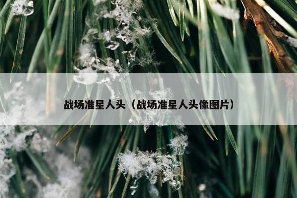 战场准星人头（战场准星人头像图片）