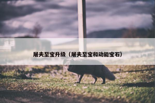屠夫至宝升级（屠夫至宝和动能宝石）