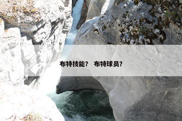 布特技能？ 布特球员？