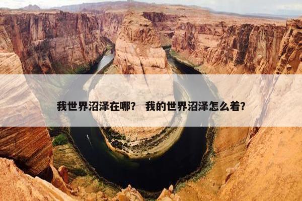 我世界沼泽在哪？ 我的世界沼泽怎么着？