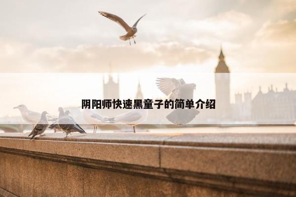 阴阳师快速黑童子的简单介绍