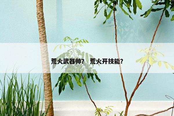 荒火武器帅？ 荒火开技能？