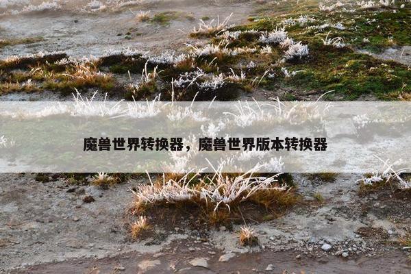 魔兽世界转换器，魔兽世界版本转换器