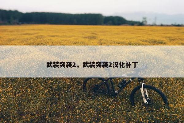 武装突袭2，武装突袭2汉化补丁