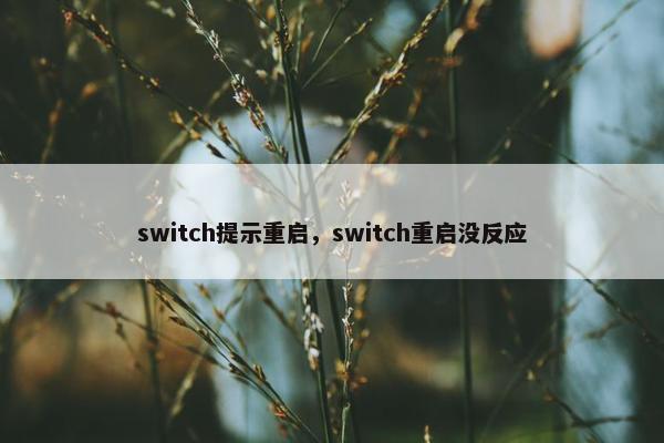 switch提示重启，switch重启没反应