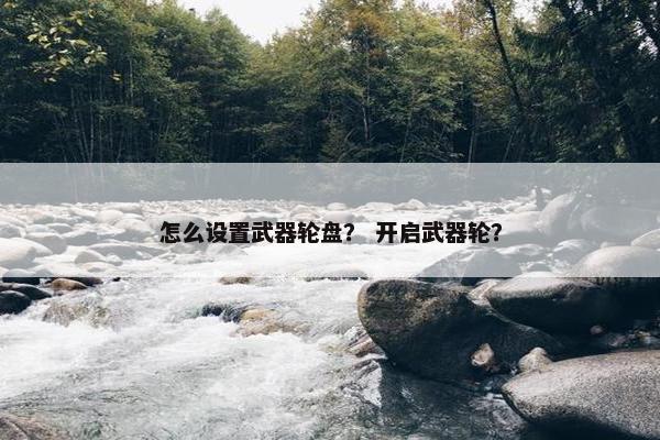 怎么设置武器轮盘？ 开启武器轮？