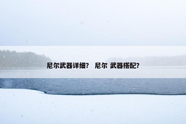 尼尔武器详细？ 尼尔 武器搭配？