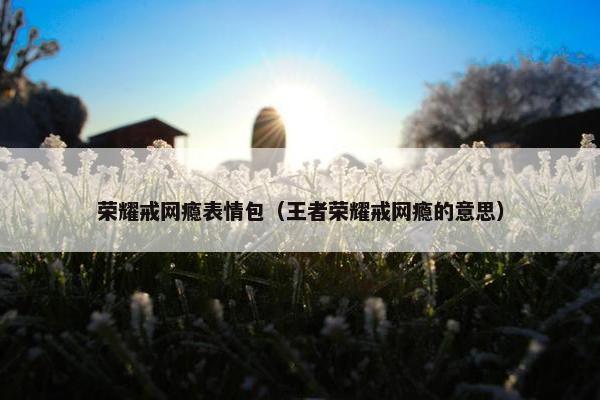 荣耀戒网瘾表情包（王者荣耀戒网瘾的意思）