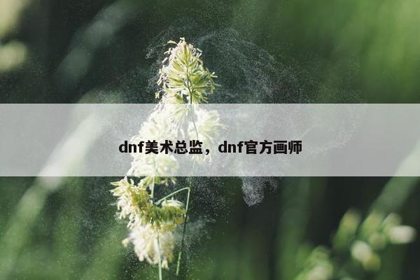 dnf美术总监，dnf官方画师
