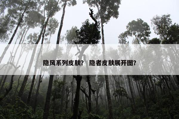 隐风系列皮肤？ 隐者皮肤展开图？