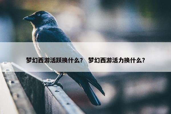 梦幻西游活跃换什么？ 梦幻西游活力换什么？