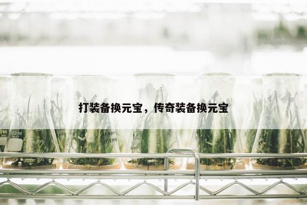 打装备换元宝，传奇装备换元宝