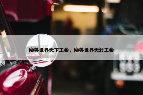 魔兽世界天下工会，魔兽世界天涯工会