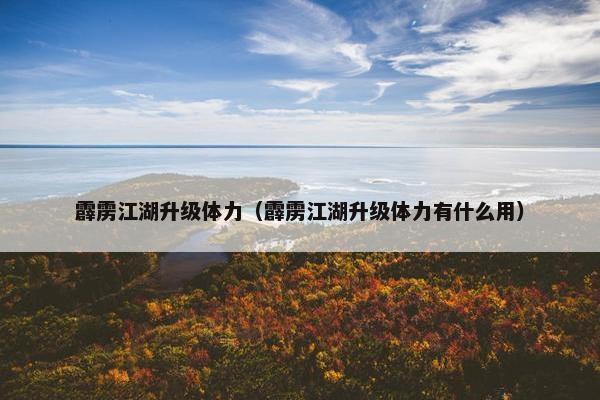 霹雳江湖升级体力（霹雳江湖升级体力有什么用）