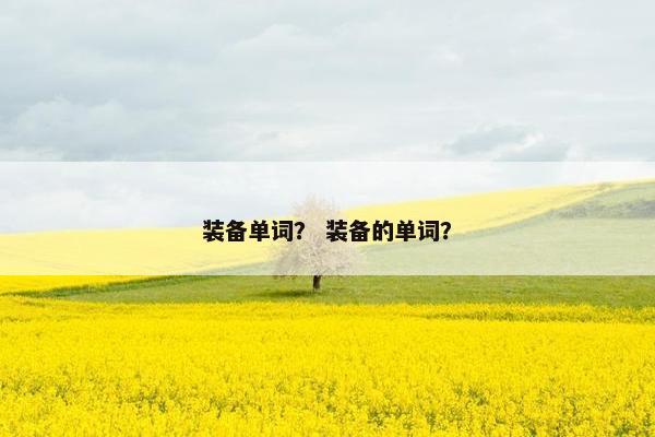 装备单词？ 装备的单词？