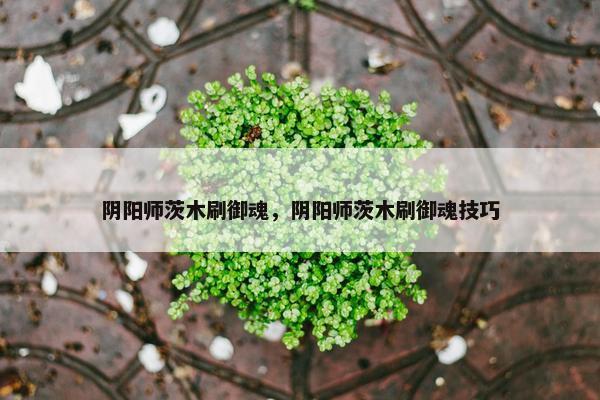 阴阳师茨木刷御魂，阴阳师茨木刷御魂技巧