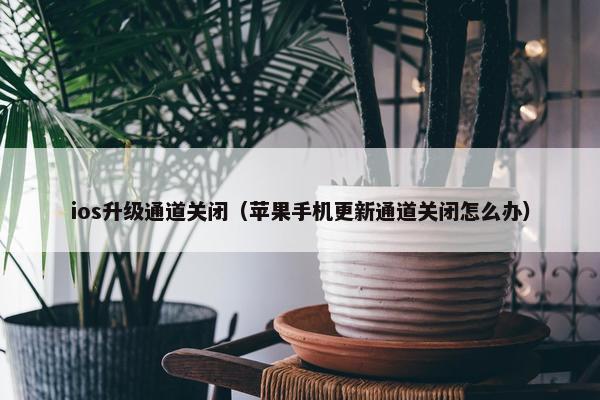 ios升级通道关闭（苹果手机更新通道关闭怎么办）