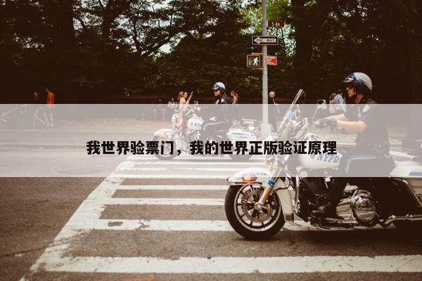 我世界验票门，我的世界正版验证原理