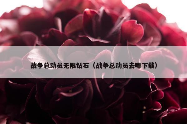 战争总动员无限钻石（战争总动员去哪下载）