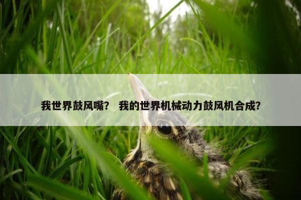 我世界鼓风嘴？ 我的世界机械动力鼓风机合成？