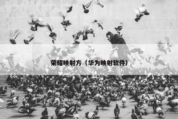 荣耀映射方（华为映射软件）