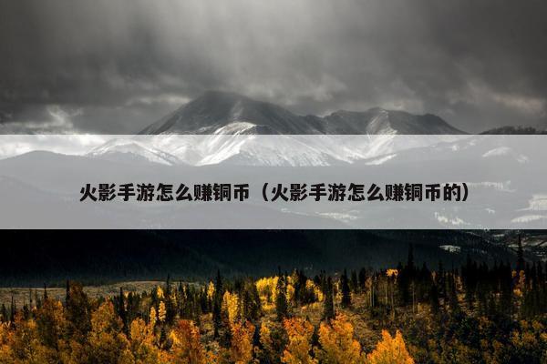 火影手游怎么赚铜币（火影手游怎么赚铜币的）